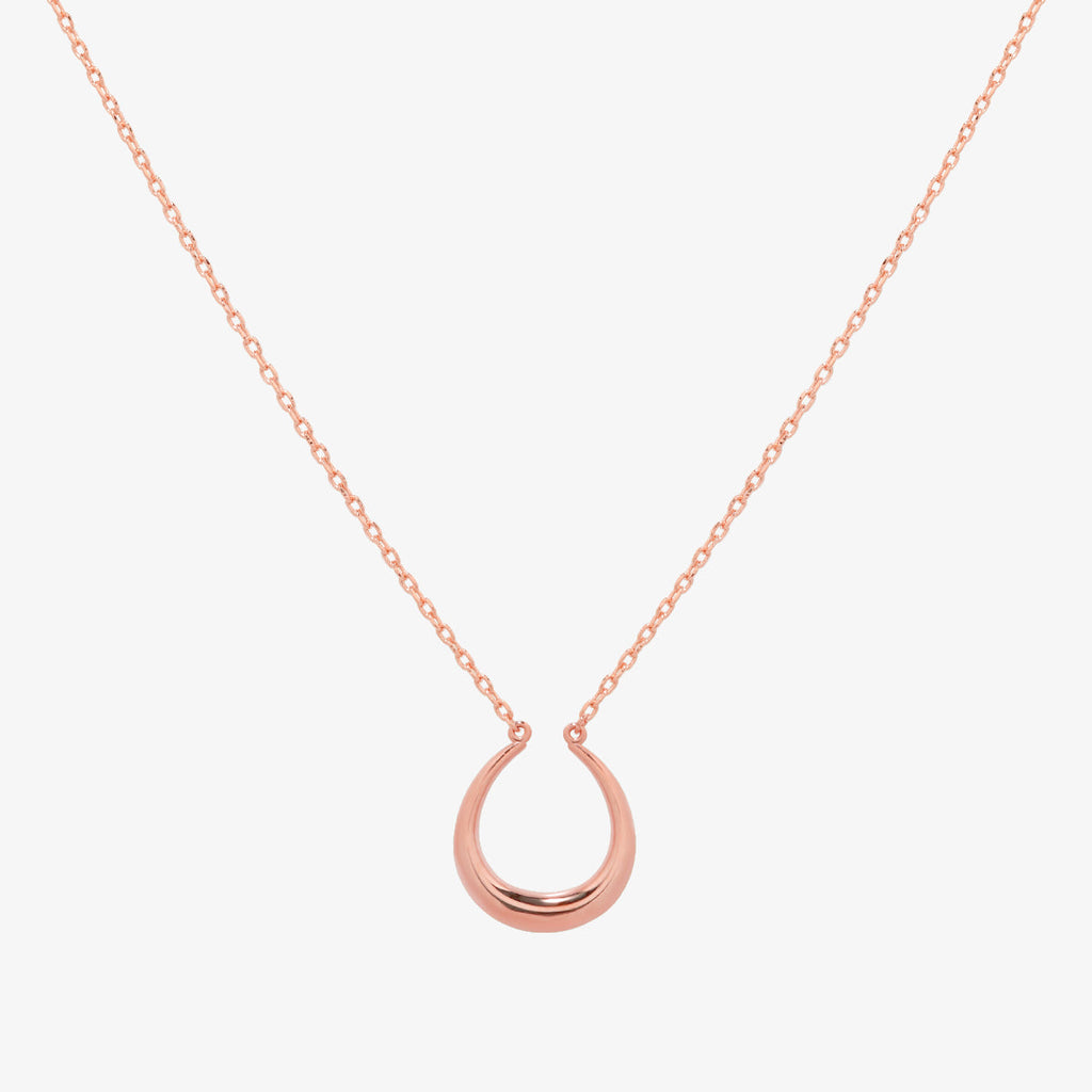 Horseshoe style necklace-5
